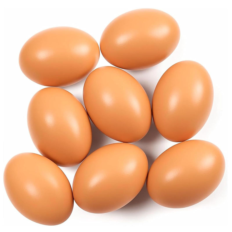 Baby Food With Chicken - Wooden Egg for Laying Chickens Montessori