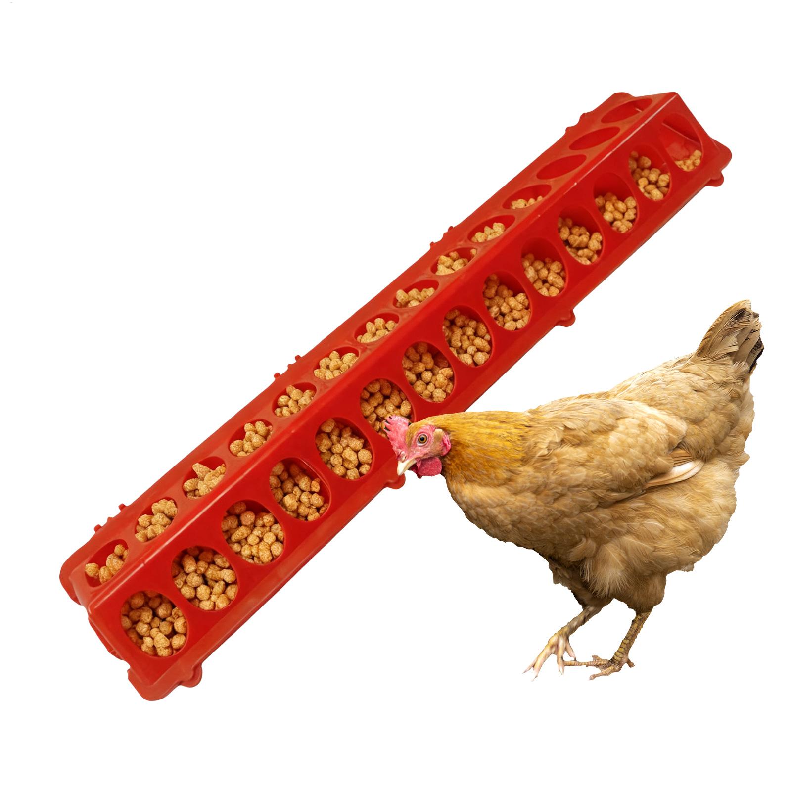 Pigeon Feeder 28-hole Long Lar - Baby Food With Chicken recension och pris