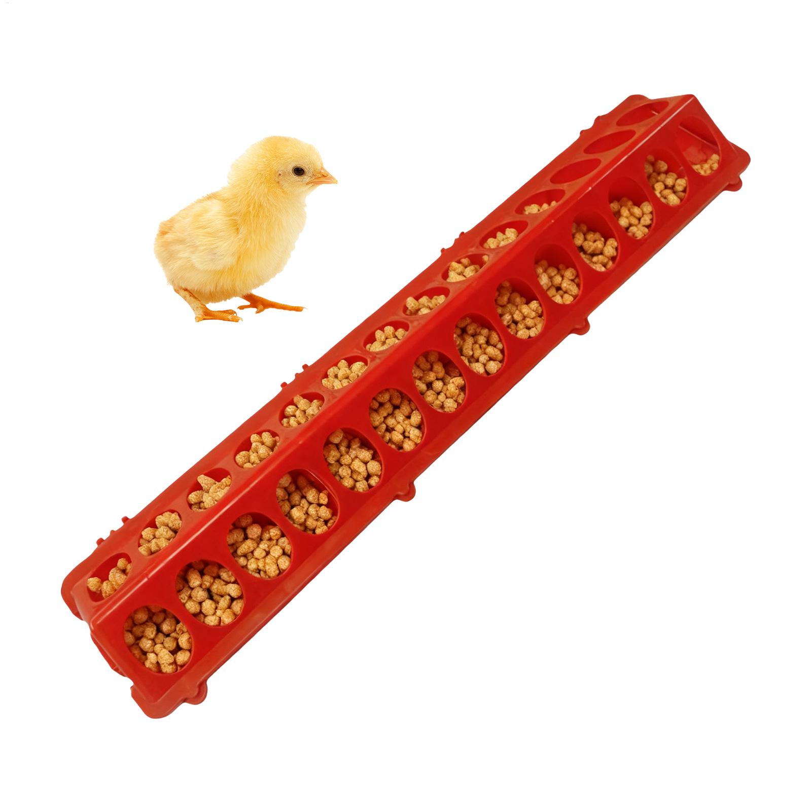 Pigeon Feeder 28-hole Long Lar - Baby Food With Chicken recension och pris