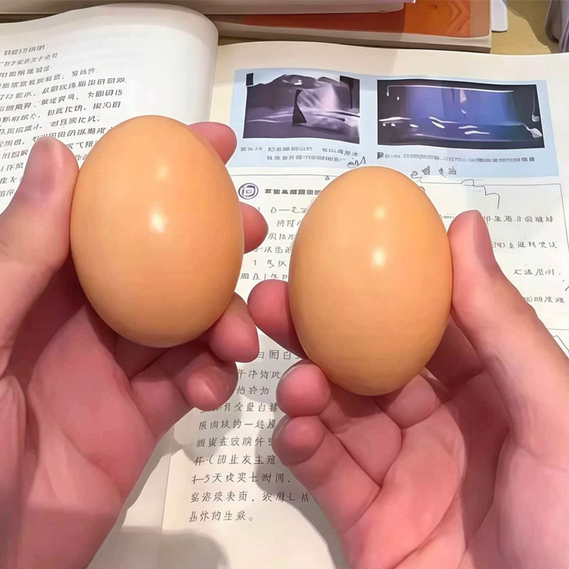 Wooden Egg for Laying Chickens - Baby Food With Chicken recension och pris