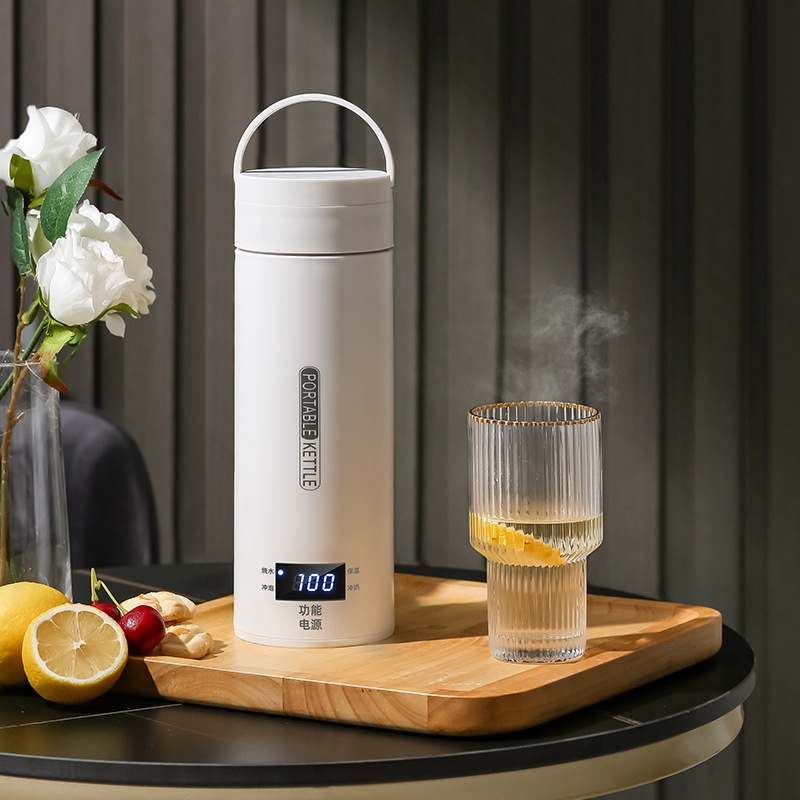 Travel Electric T Kettle Fast  - Baby Food Thermos recension och pris