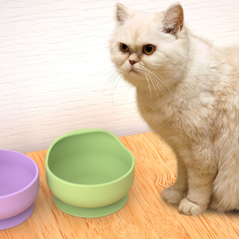 Silicone Pet Bowls with Bottom - Silicone Suction Bowl recension och pris