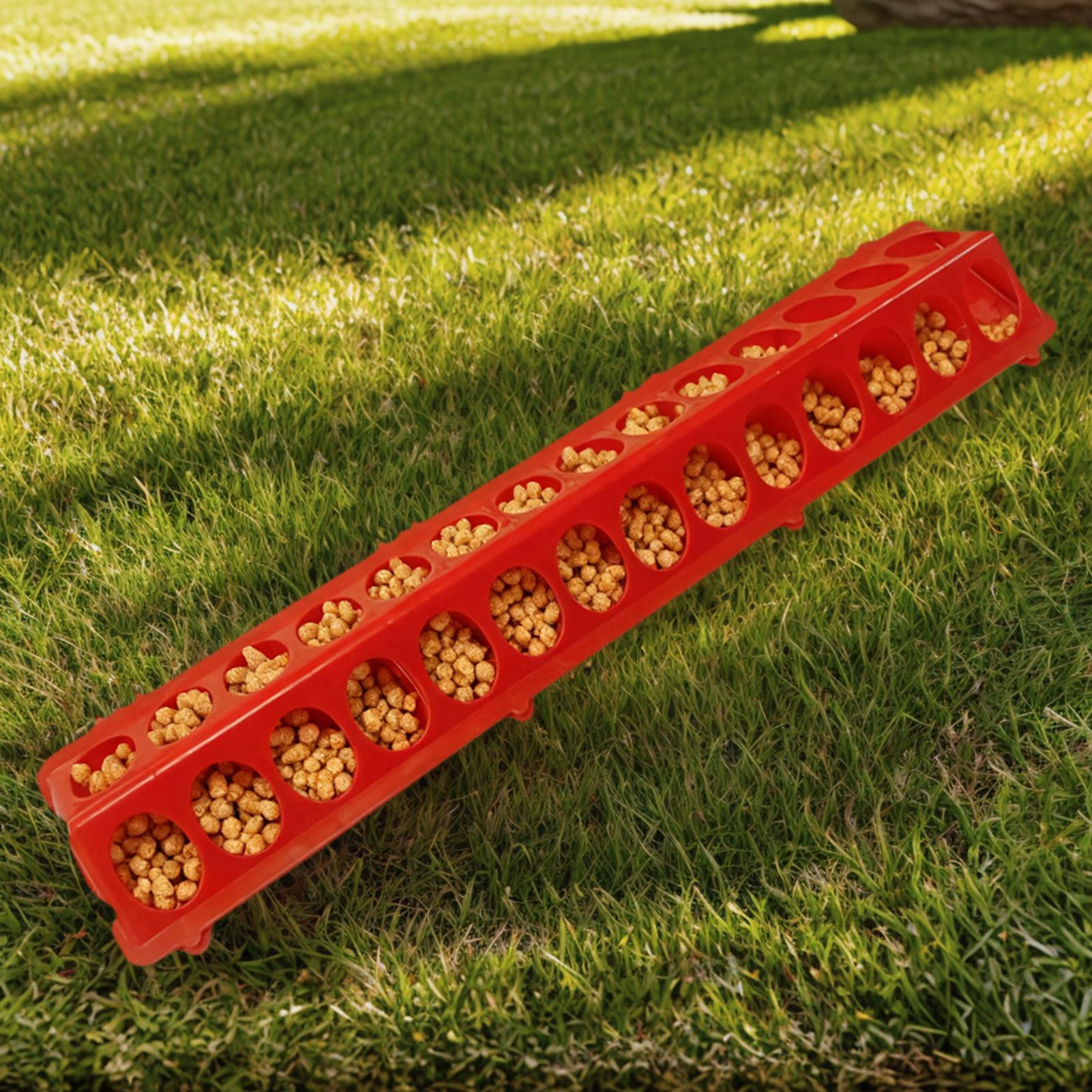 Pigeon Feeder 28-hole Long Lar - Baby Food With Chicken recension och pris